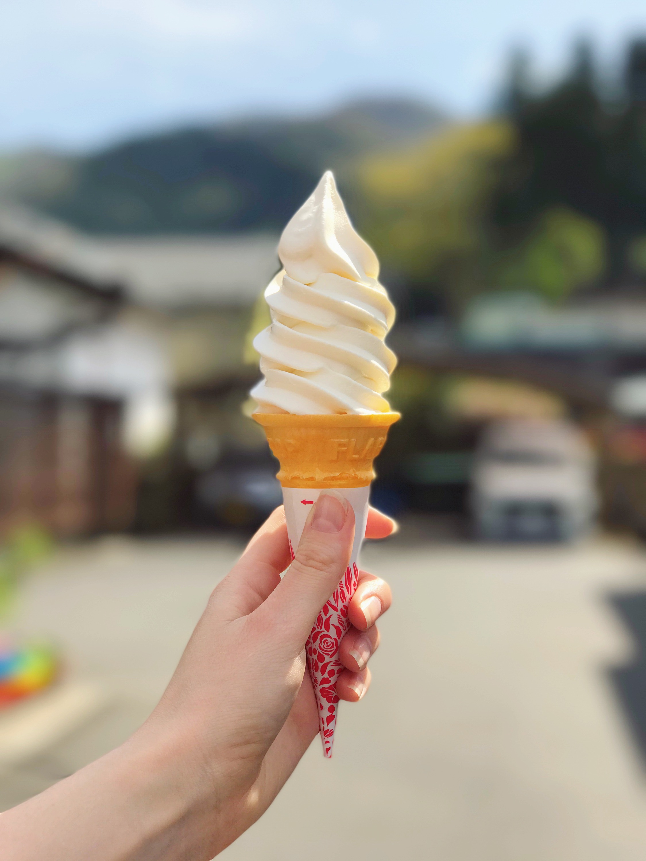 eating-vegan-healthy-japan