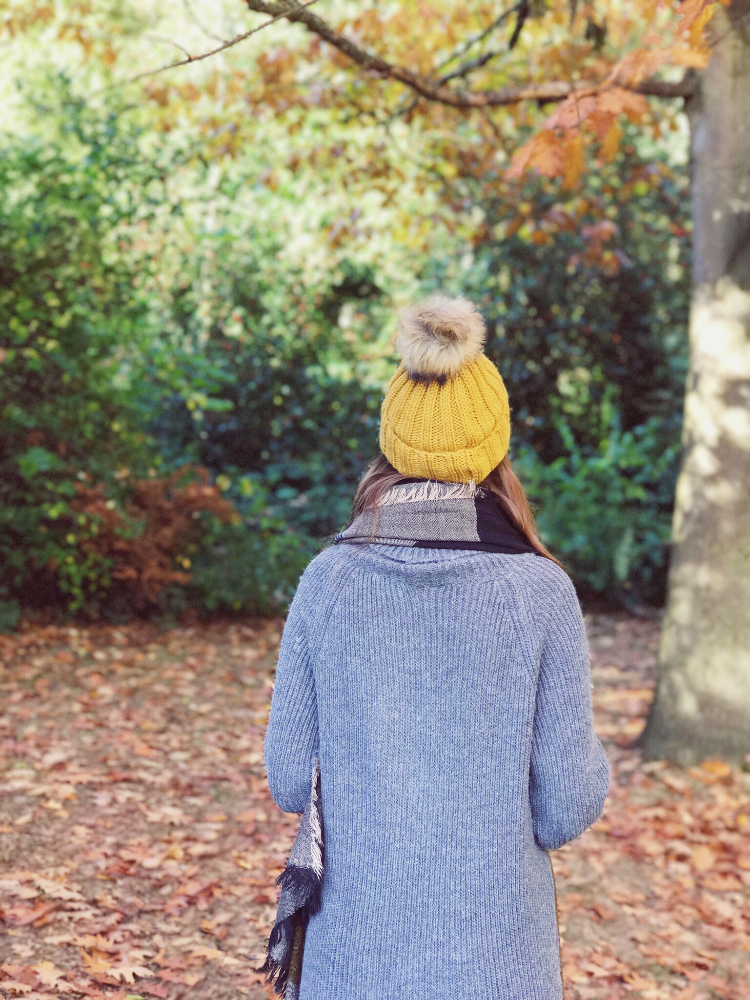 autumn-fall-essentials-2017