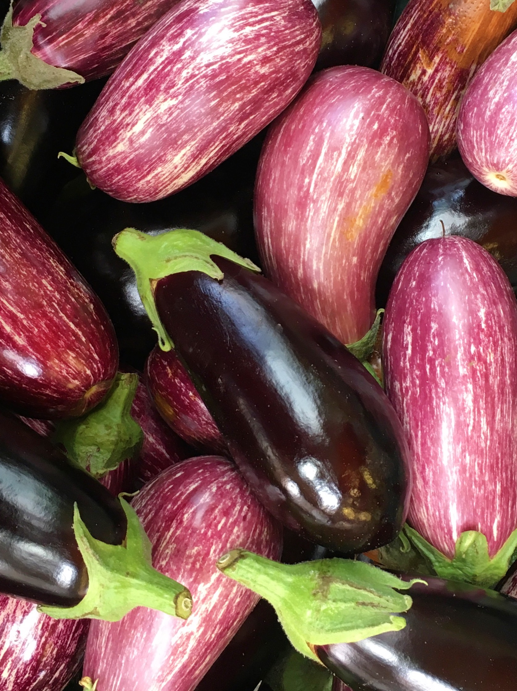 seasonal-autumn-vegetables-uk