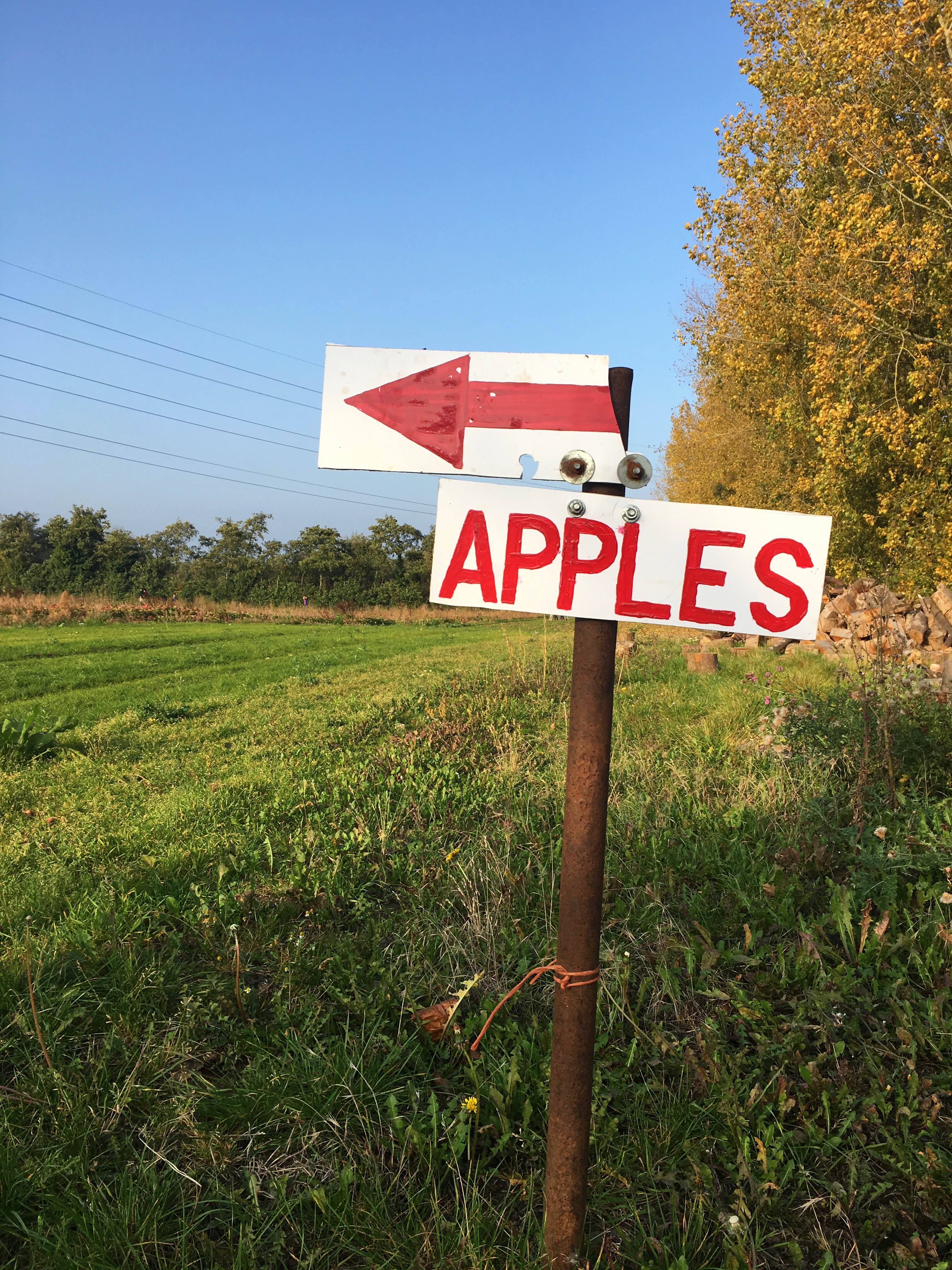 Photo 15-10-2017, 16 19 31