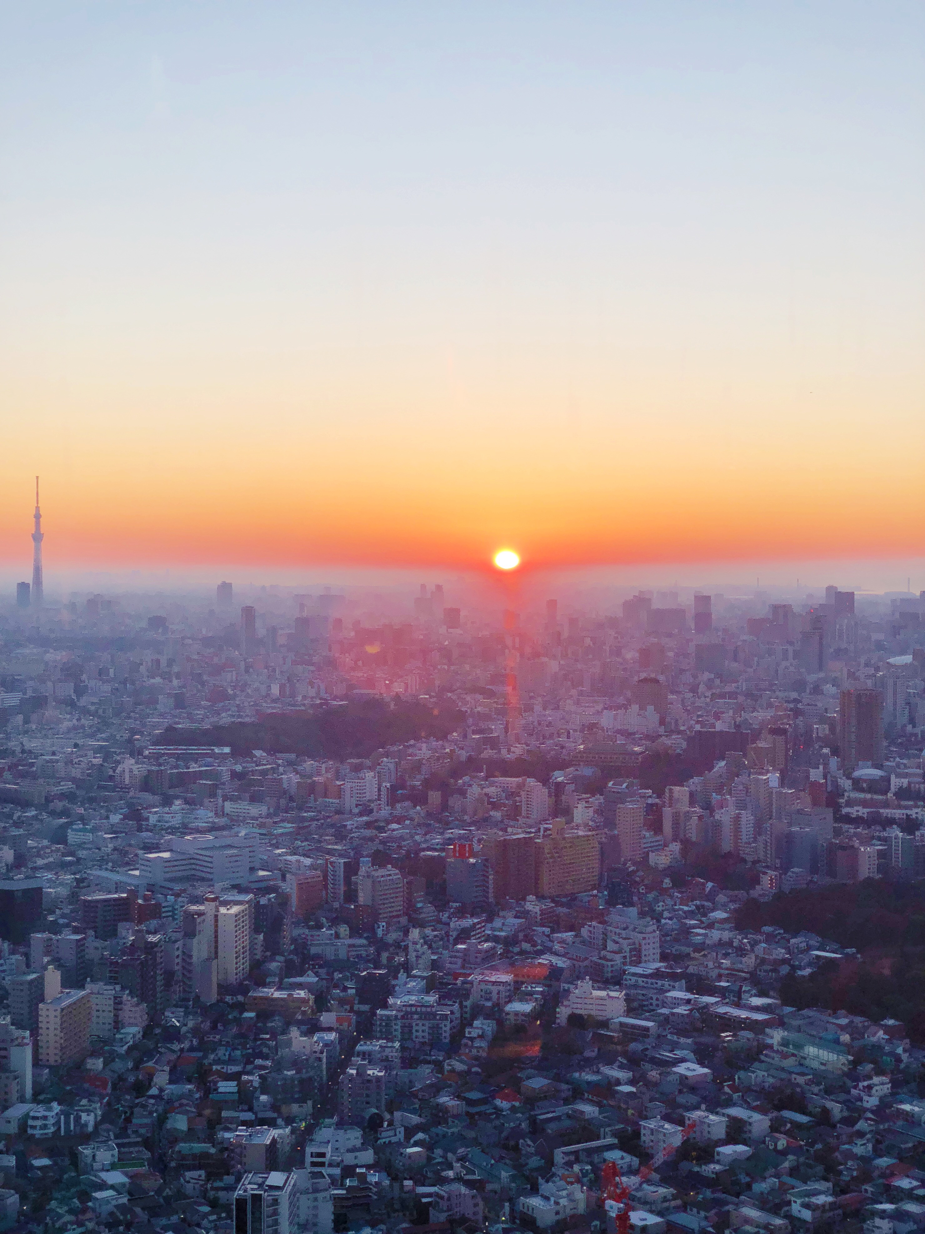 heal-your-body-naturally