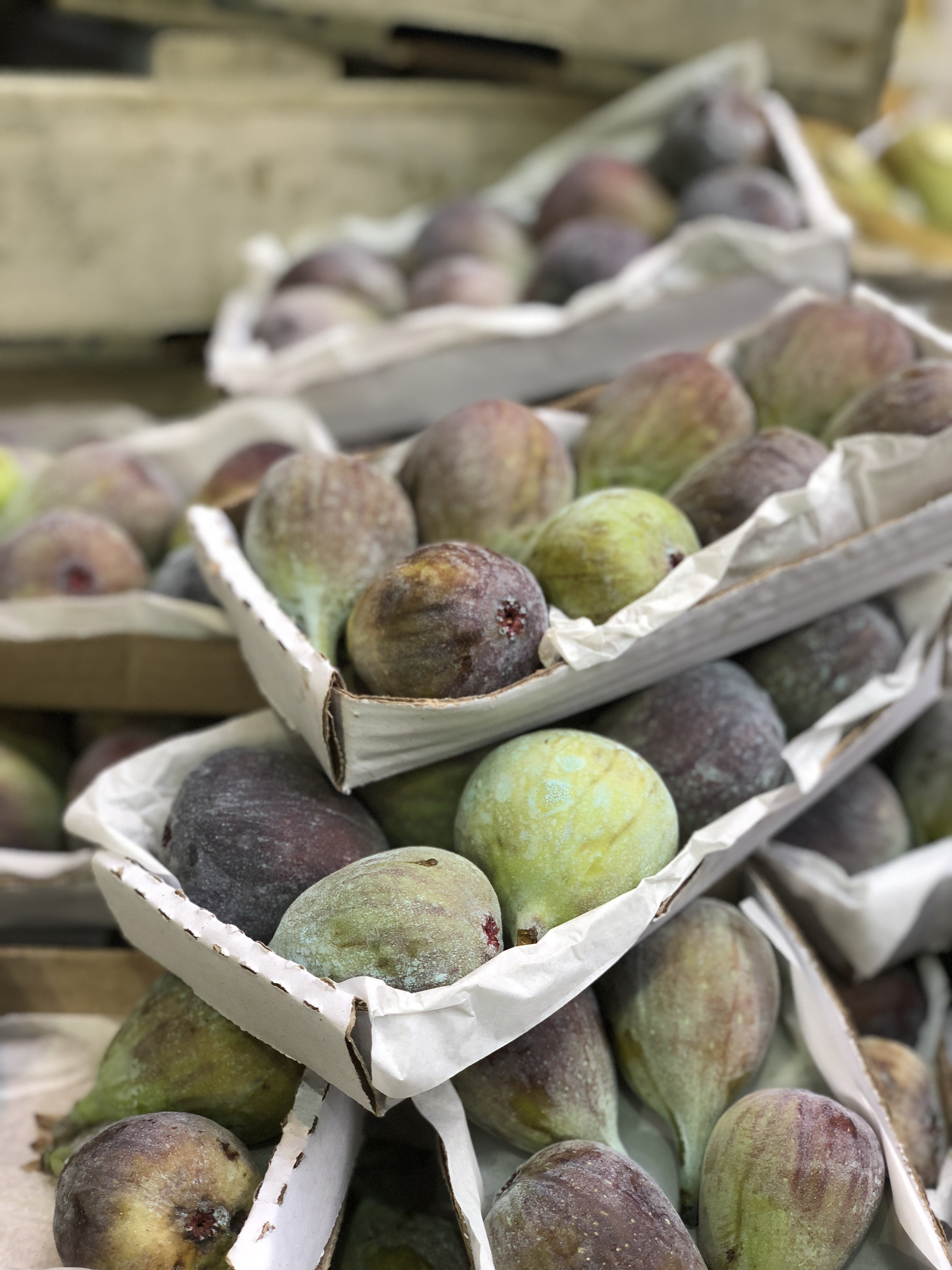 Photo 16-03-2018, 13 34 20