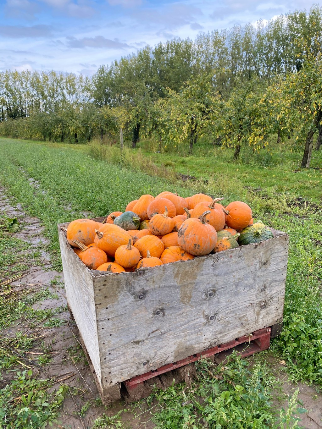 Reflecting On 2020: A Year Of Ups And Downs