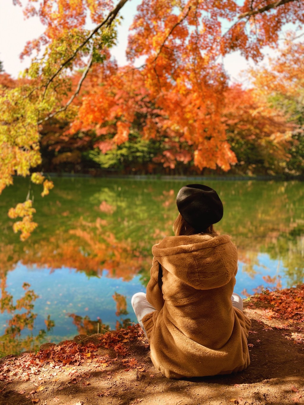 Autumn Leaves In Karuizawa