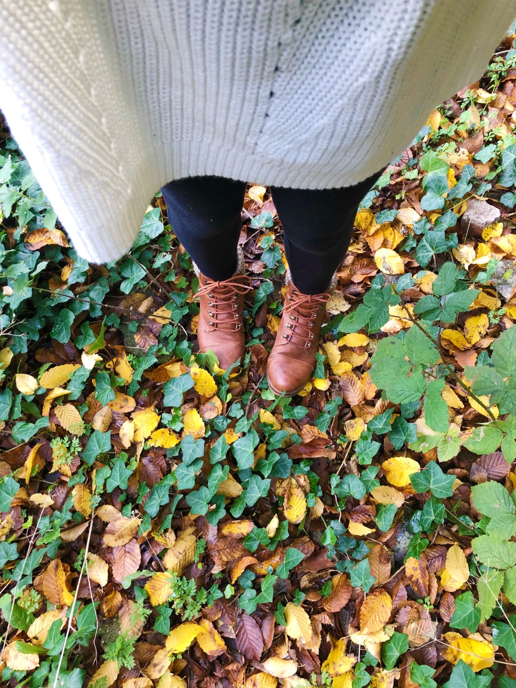 Autumn Adventures In Suffolk