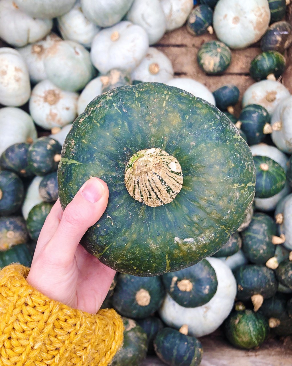 How To Cook With Kabocha Squash