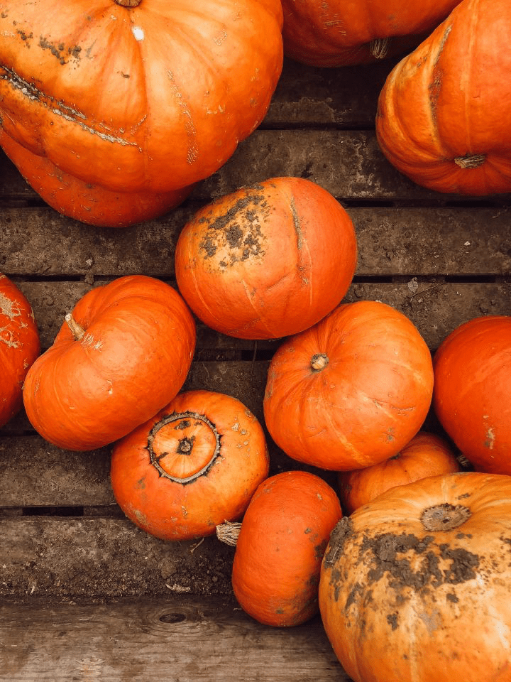 Planning A Simple, Grateful Autumn Season