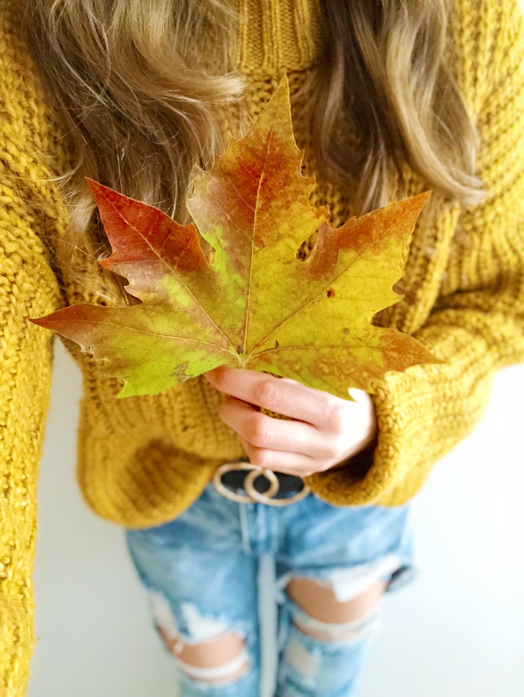 The Ultimate Autumn Bucket List