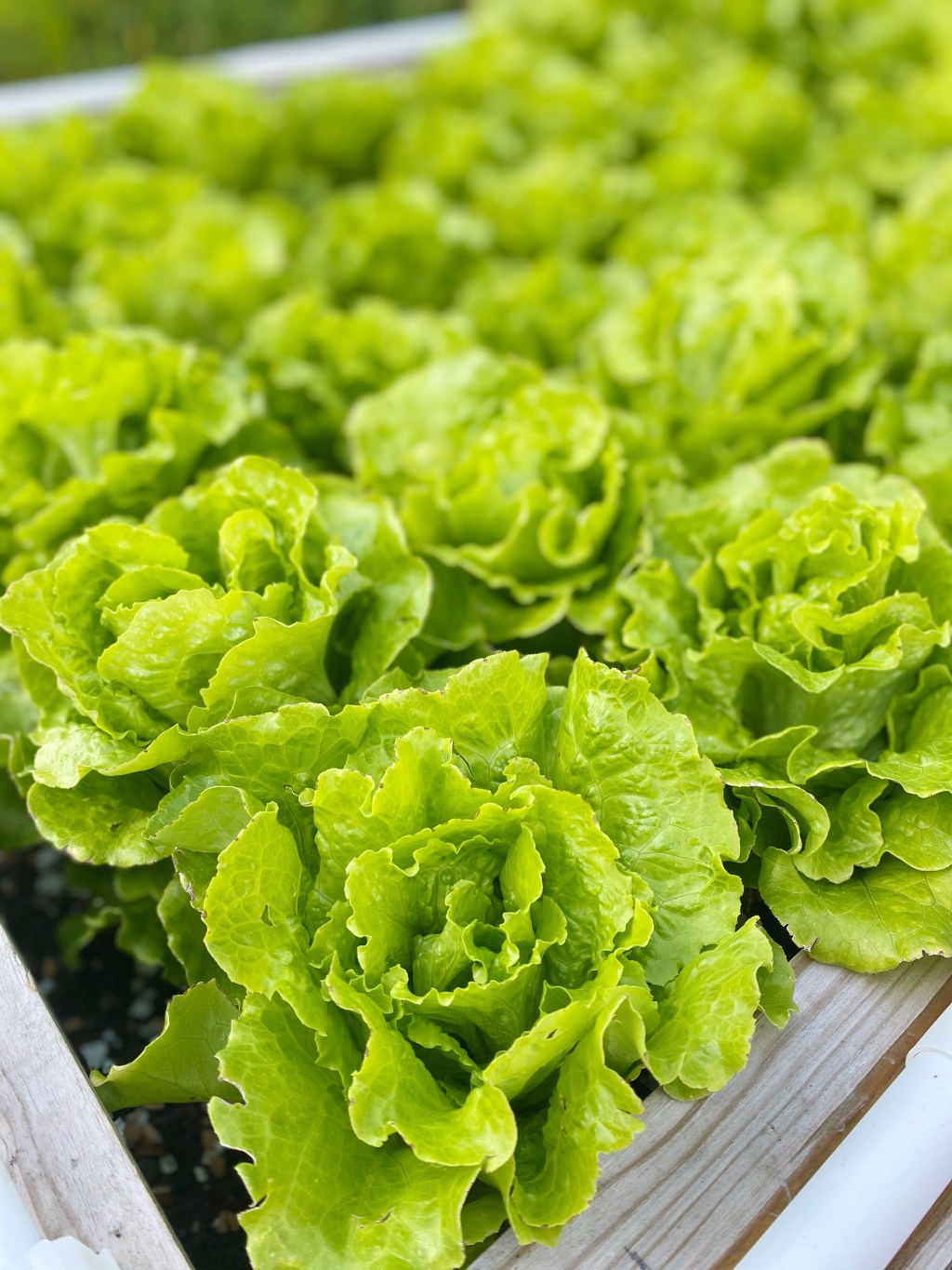 15 Journalling Prompts For Self-Reflection