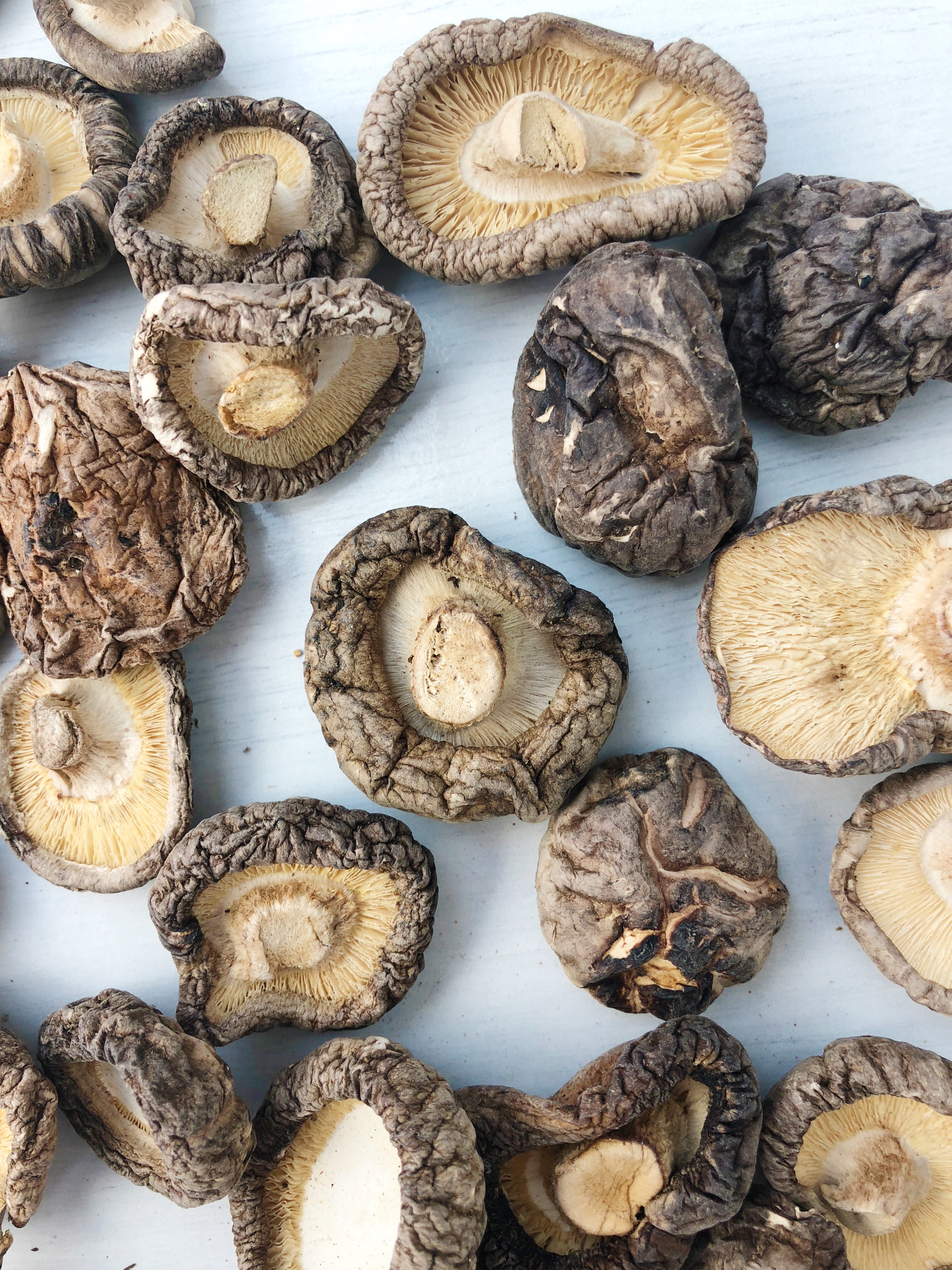 Benefits Of Mushrooms Vegan