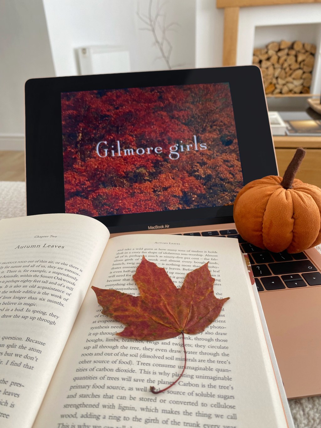 How I Romanticise The Autumn Months