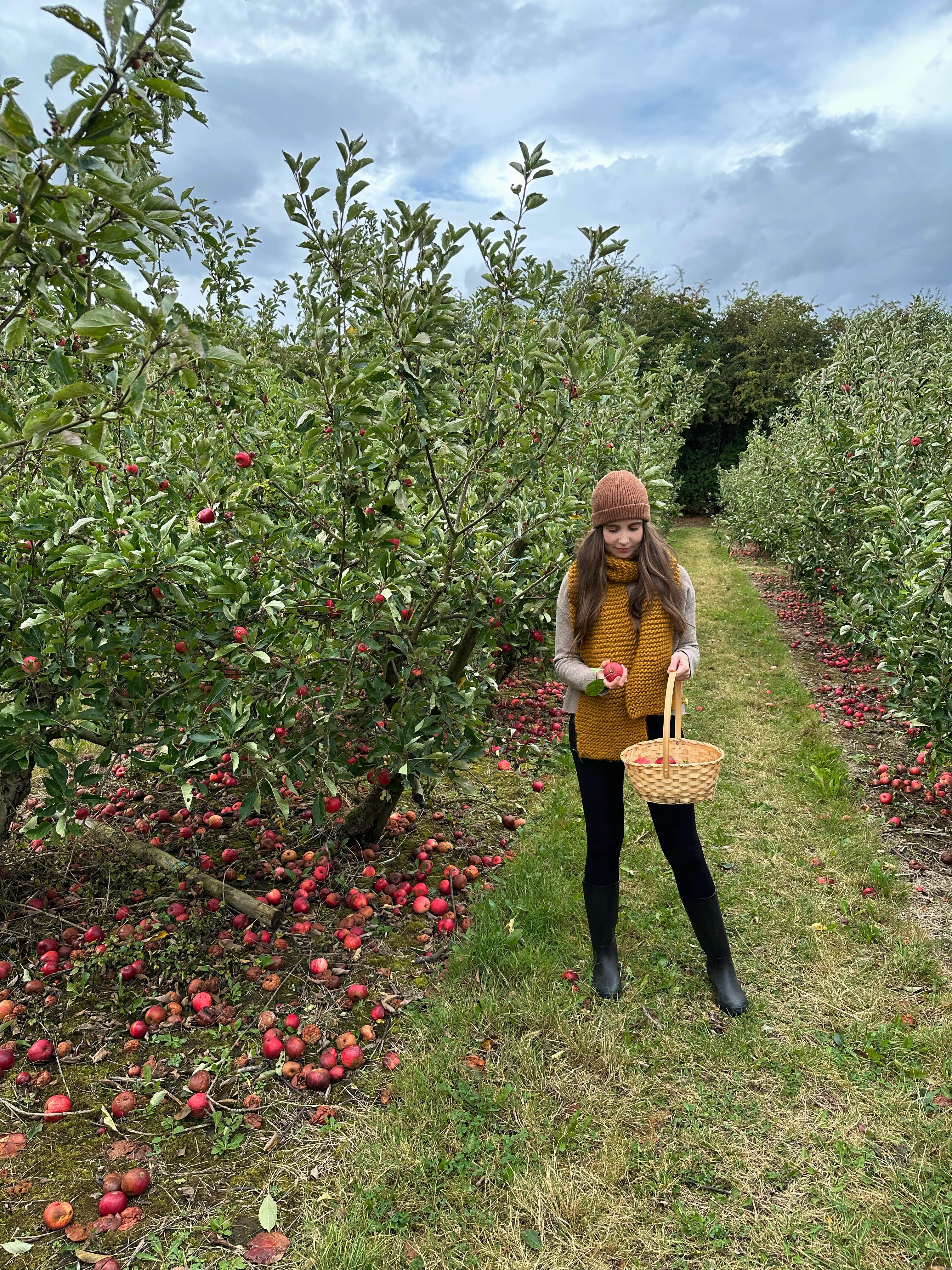 A woman standing in an apple orchard surrounded by apples and holding a basket of apples.