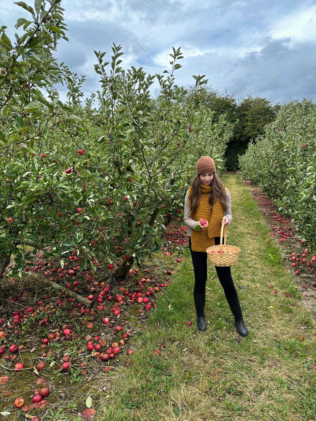 Let’s Go Apple-Picking
