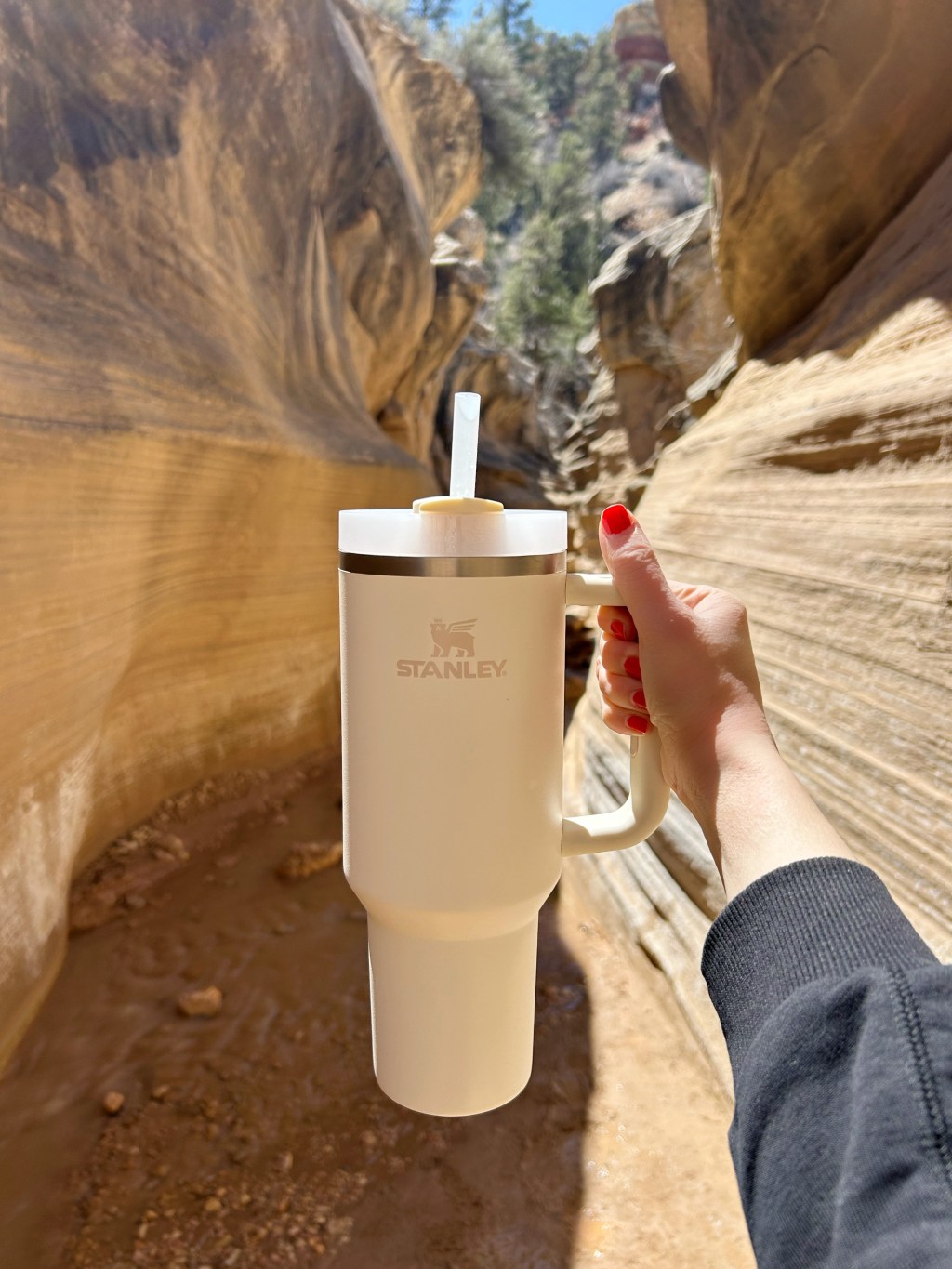 Stanley Cup Review: Is It Worth The Hype?