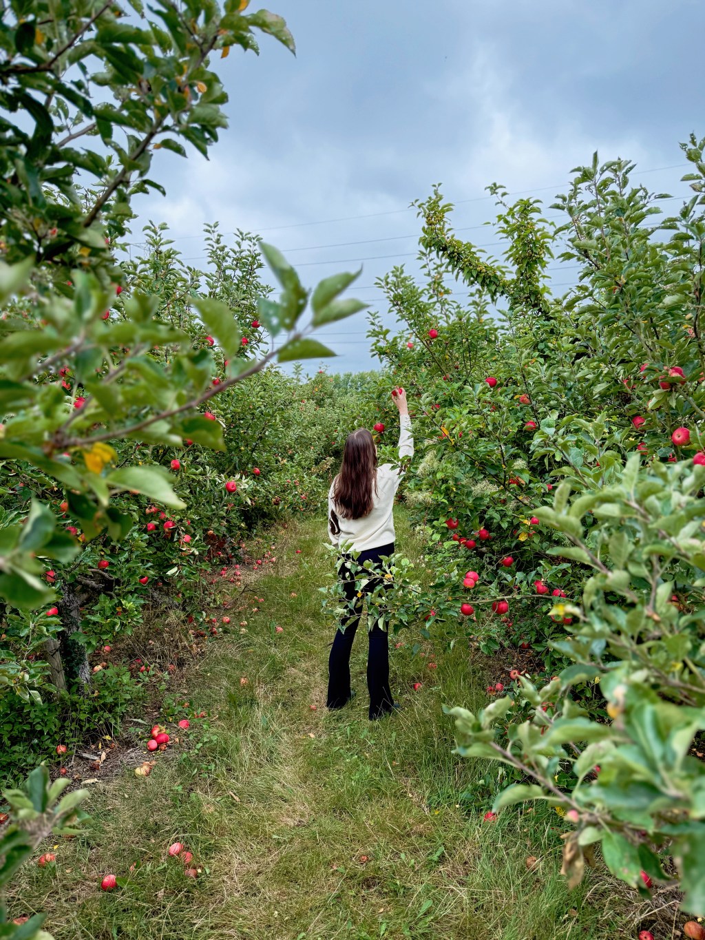 6 Ways I’m Preparing For Autumn